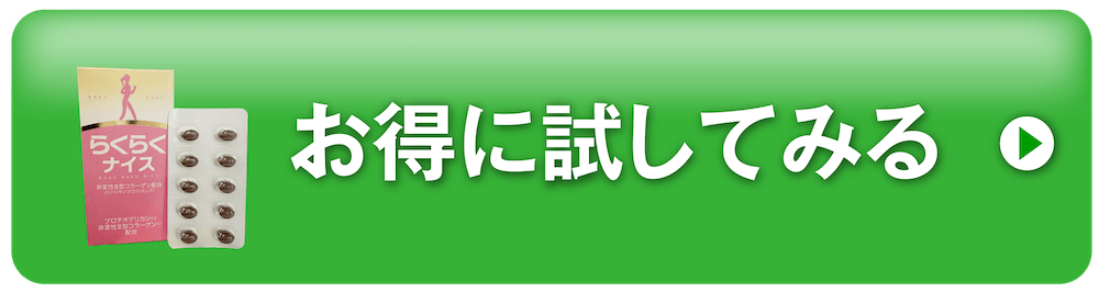 お得に試してみる