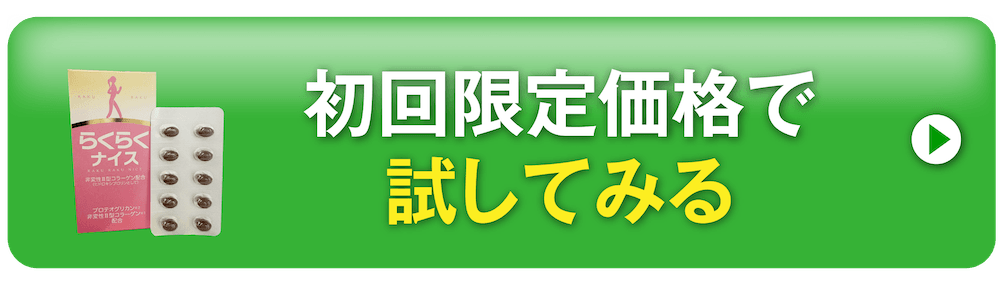 初回限定価格で試してみる
