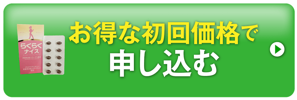 お得な初回価格で申し込む