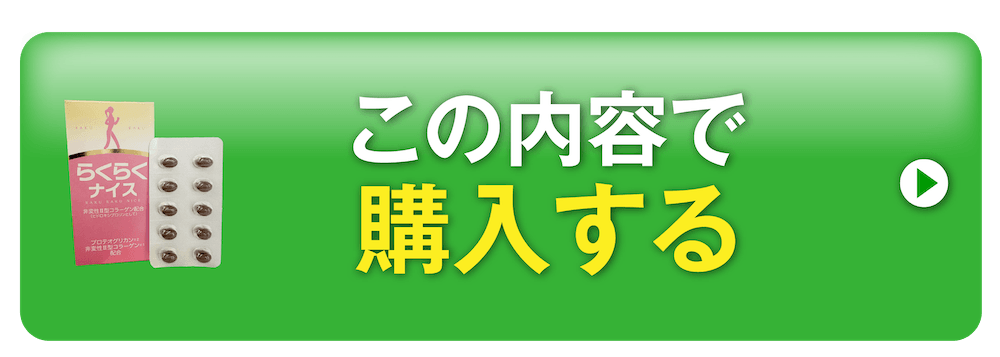 この内容で購入する