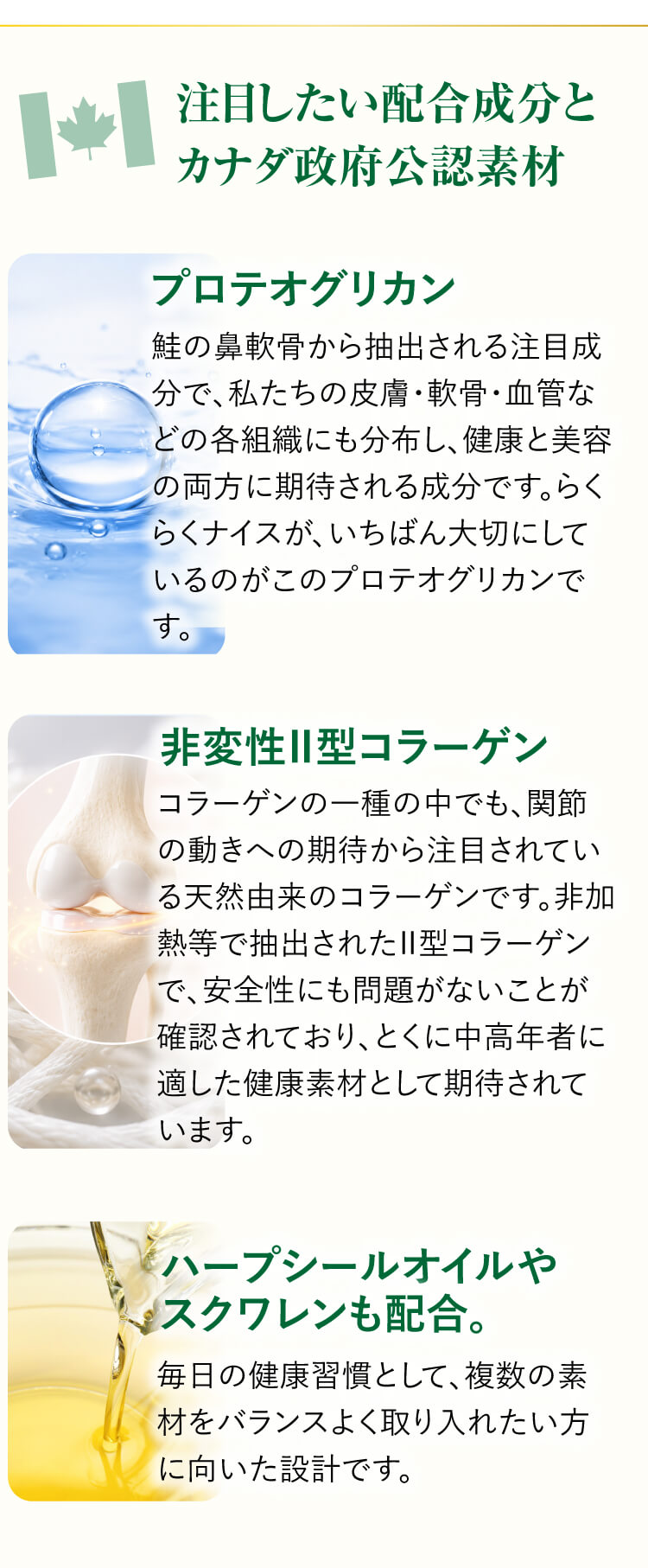注目の配合成分 プロテオグリカン・非変性II型コラーゲン