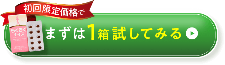 初回限定価格でまずは1箱試してみる